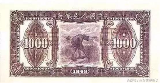 所有人民币图片大全,最全人民币图样不容错过