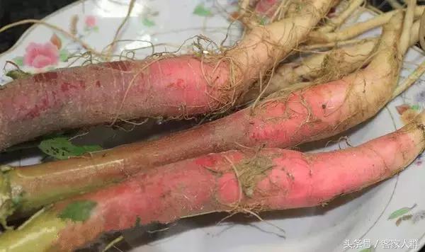 客家人煮汤有哪些草药,梅州客家煲汤药材根