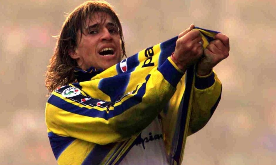 浴火重生之火凤凰,浴火重生