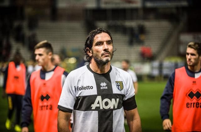 浴火重生之火凤凰,浴火重生