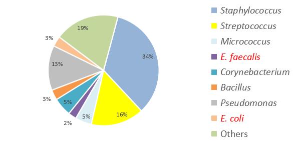 与时间赛跑同病魔较量演讲,与时间赛跑急救医生
