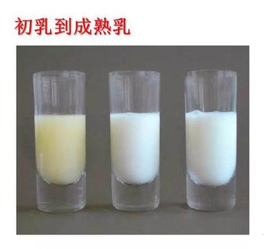 5个月宝宝就要断奶？太早了！为孩子好，断奶时间最好是这个时候