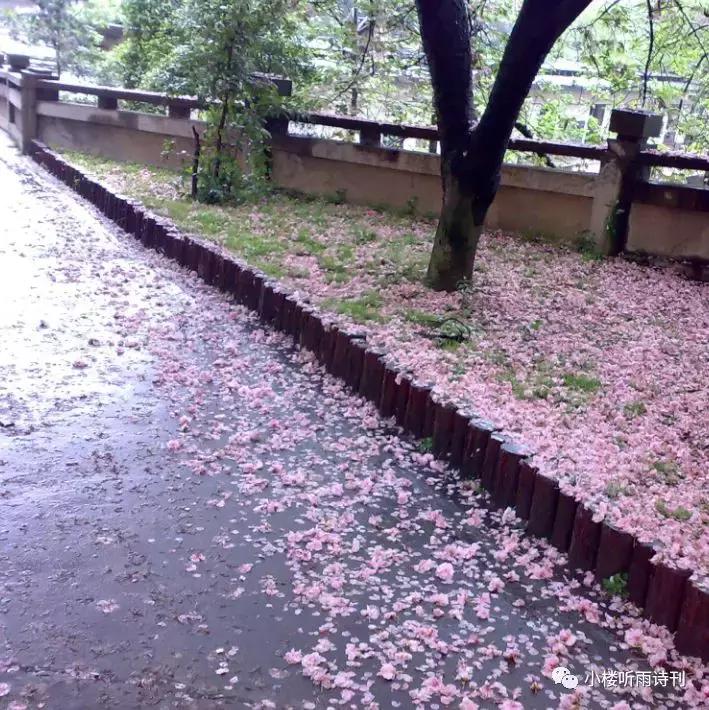 唐寅落花诗17首,唐寅落花诗三十首