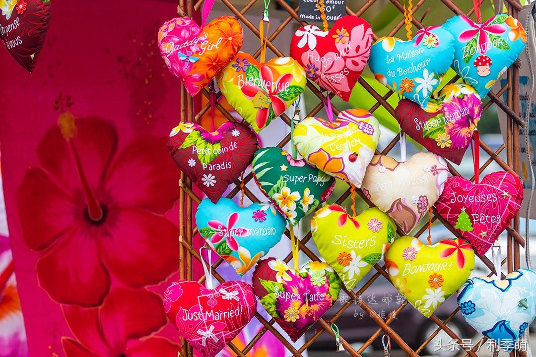 「透视旅行」依依不舍告别“鸭岛”