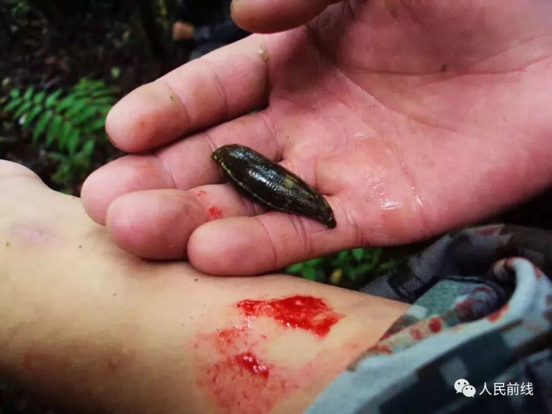 墨脱解放军的真实记录,2007西藏墨脱军人的照片