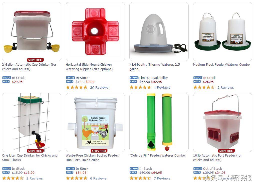 越来越多人养鸡当宠物，还有人卖鸡尿布发财了……