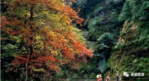 醉美九龙,九龙潭踏青一日游