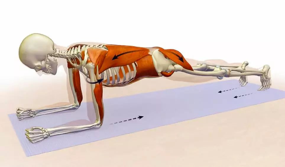 5个平板支撑核心动作你值得拥有,核心强化平板支撑