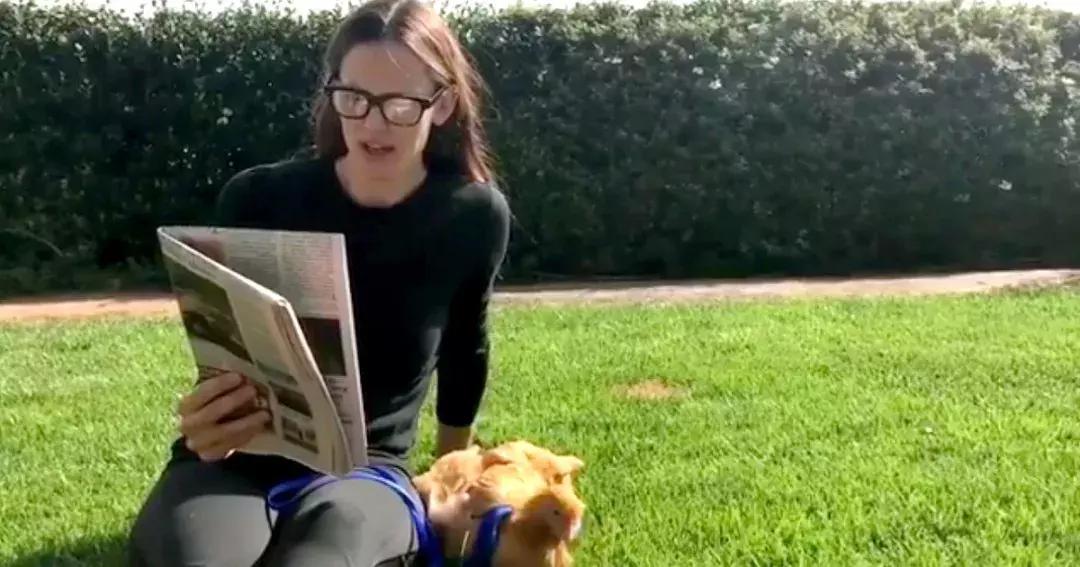 越来越多人养鸡当宠物，有人卖鸡尿布发财了……