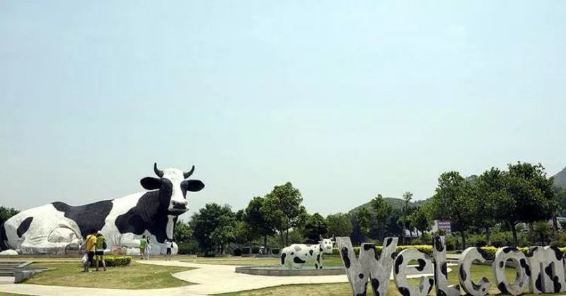 深圳失去双臂,深圳现状是什么