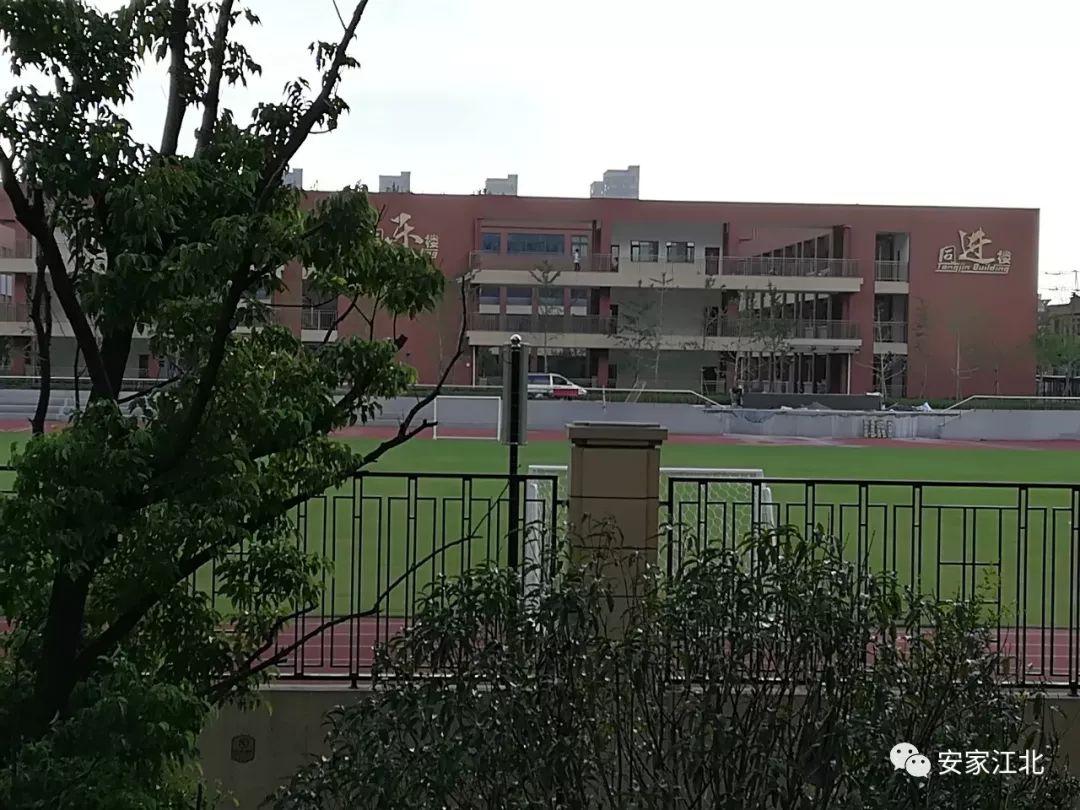 浦外高新分校和高新小学,高新浦外分校