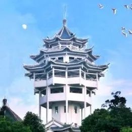 用理论指导实践做到知行合一,学用结合知行合一改进措施