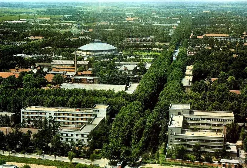 「河南40年」1985：刘源成为郑州市副市长万隆掌舵漯河肉联厂厂长