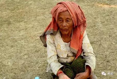 柬埔寨有什么特产最好,柬埔寨水果特产有哪些呢视频