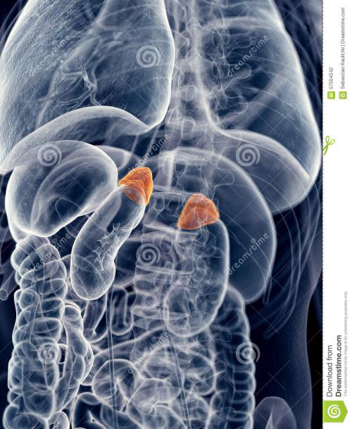 肾上腺疾病用什么检查最好,肾上腺疾病