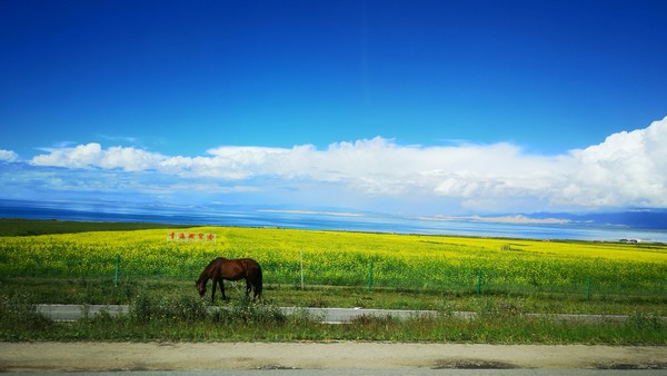 七天西安旅游走华山,西安华山风景区