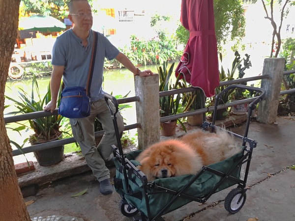 顺德逢简水乡出名小店,顺德逢简水乡属于哪个镇