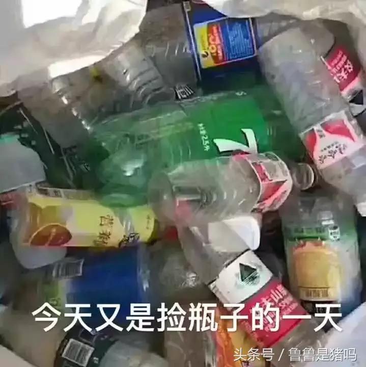 自从迷上*戏调**某宝客服后，我不会说话的毛病就被治好了