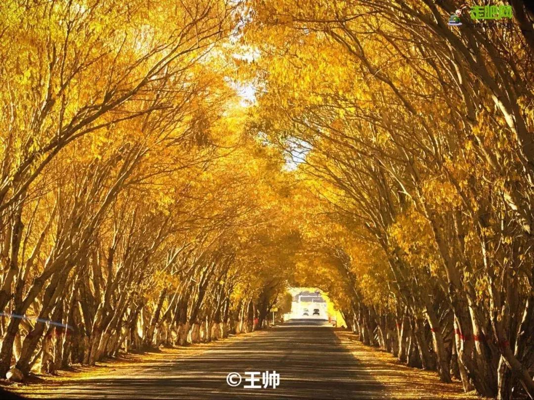 媲美川藏线的独库公路,能媲美独库公路的另一条小众公路