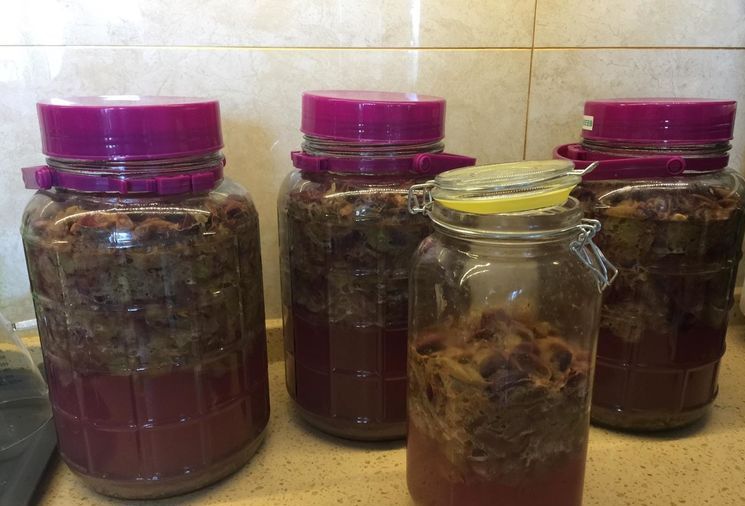 自酿葡萄酒怎么判断葡萄酒坏掉了,葡萄酒怎么酿家庭版