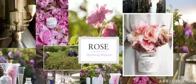 孕妇适合用的网红化妆品,孕妇致畸药物有哪些