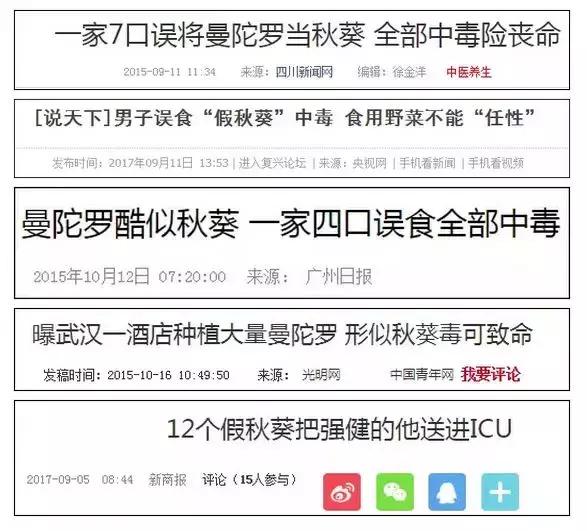 秋葵与曼陀罗的区别,秋葵与曼陀罗花