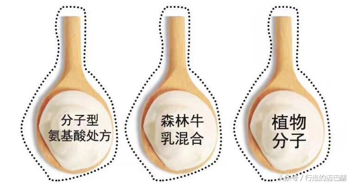 哪种牌子的洗发水控油效果好用,洗发水用什么品牌的控油效果好