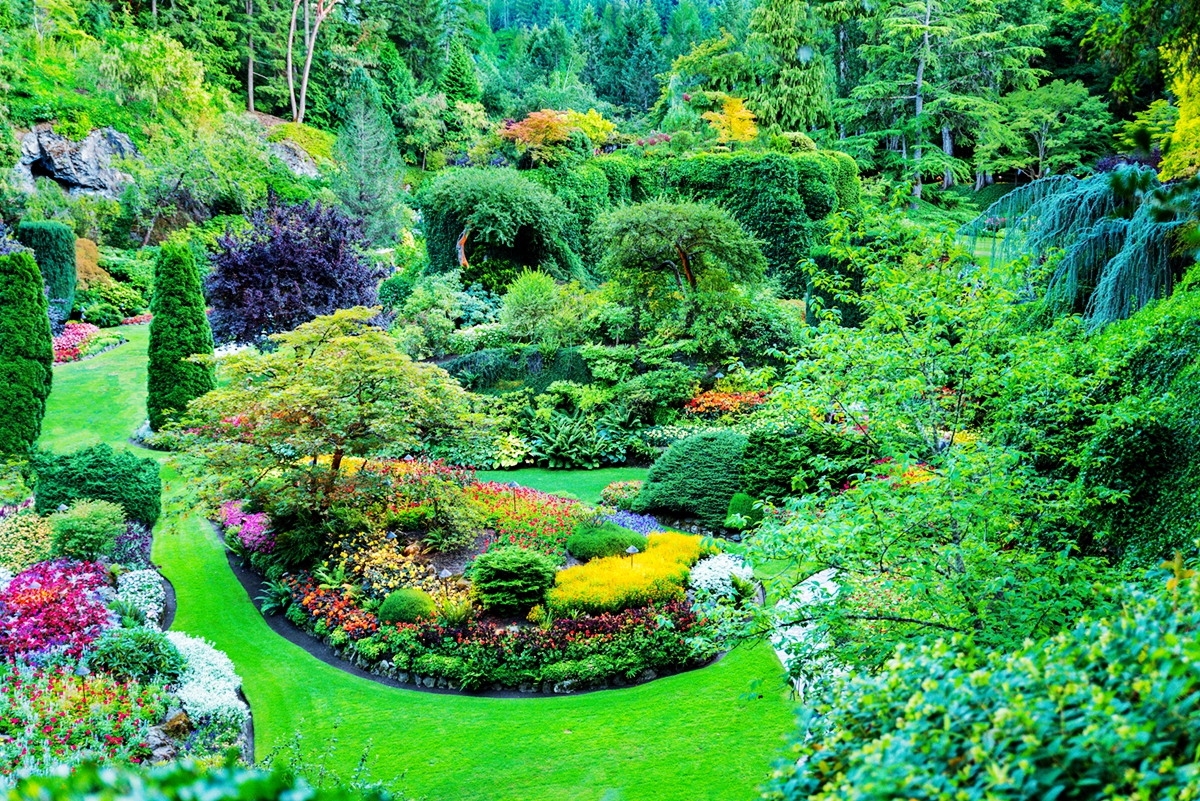 叮！加拿大一年中最美的季节已经来到，错过还要等一年！