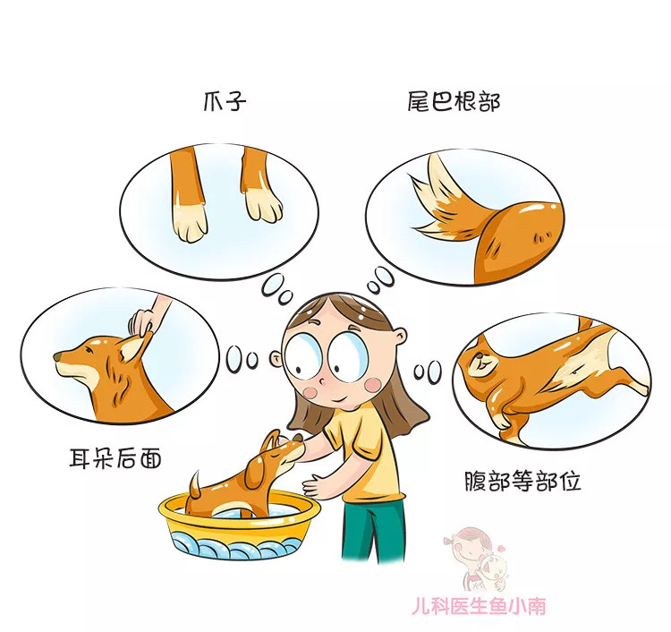 蜱虫咬在孩子头上怎么处理,宝宝如何预防蜱虫叮咬