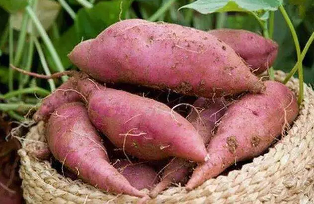 沈阳十大便于携带的特产,沈阳特产排行榜前十名