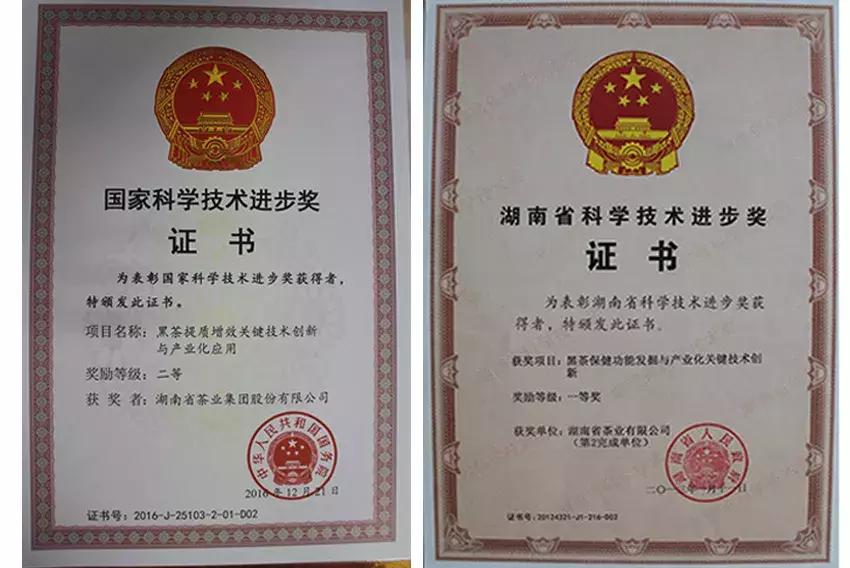 湖南千亿茶产业,湖南茶业产业发展现状