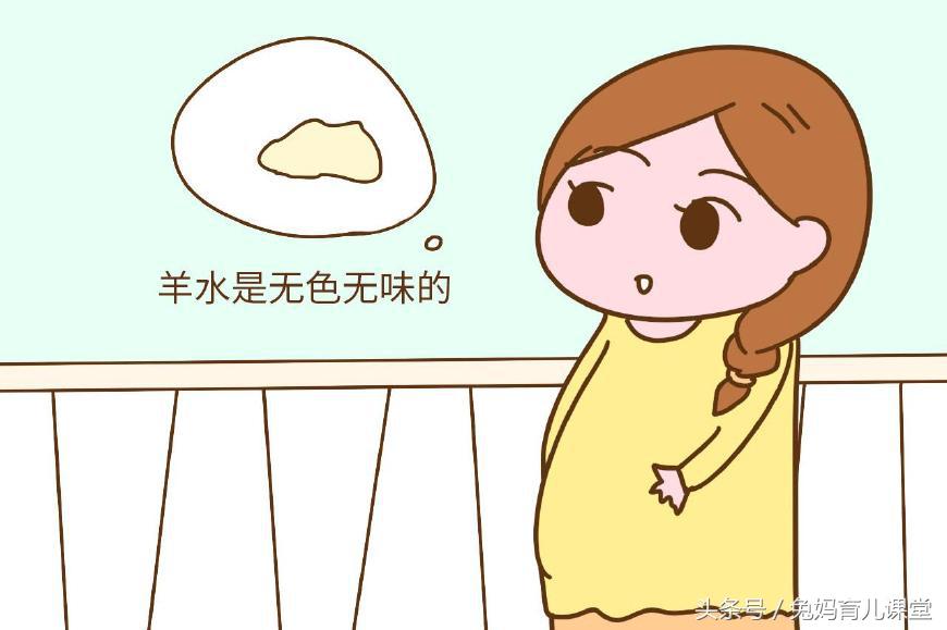 分娩前的征兆小腹阵痛,羊分娩前三天的征兆