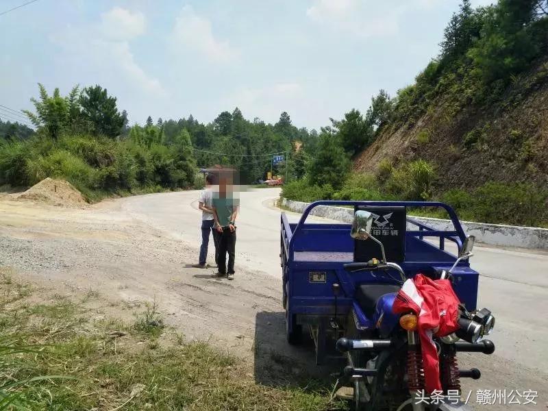 盗窃林木连环案,4人结伙作案5次盗窃木材16吨