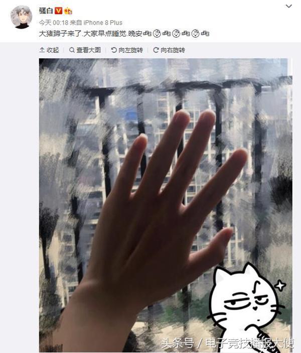 斗鱼官宣骚白,斗鱼里面的骚白去哪里了