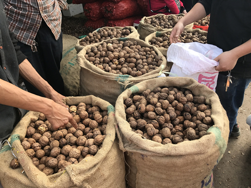 核桃表面光滑发白,核桃新货批发