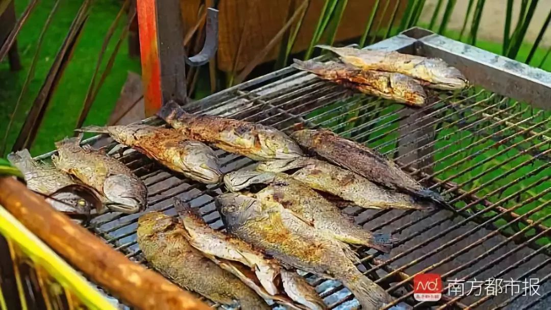 这四种美食千万不要乱吃,注意这几种食物尽量别吃危害极大