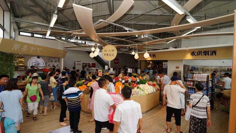 上海地铁5号线什么时候建成,上海5号线南延伸规划