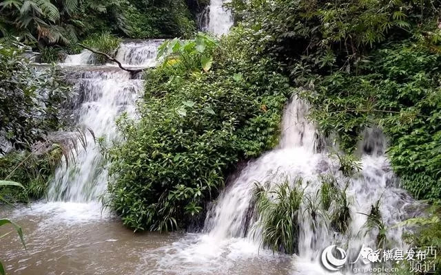 骞胯タ妯幙鑼夎帀鑺变埂瑙嗛,骞胯タ妯幙鑼夎帀鑺变埂