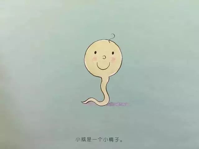 青春期性教育书籍排行榜前十名,适合小学生性教育的书推荐