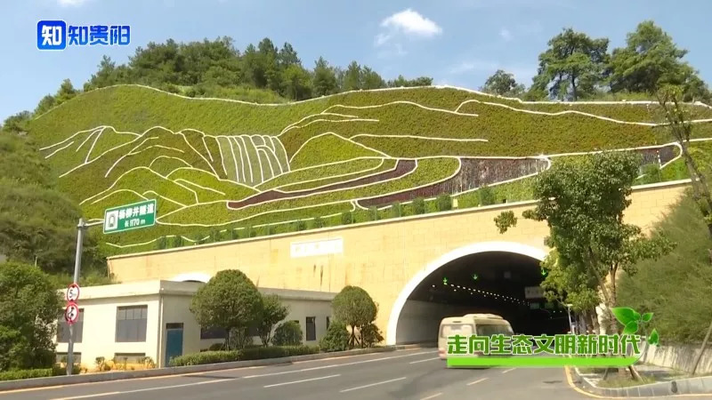 “百山治理”之后，我市这些山体都披上了绿装，有你常见到的吗？