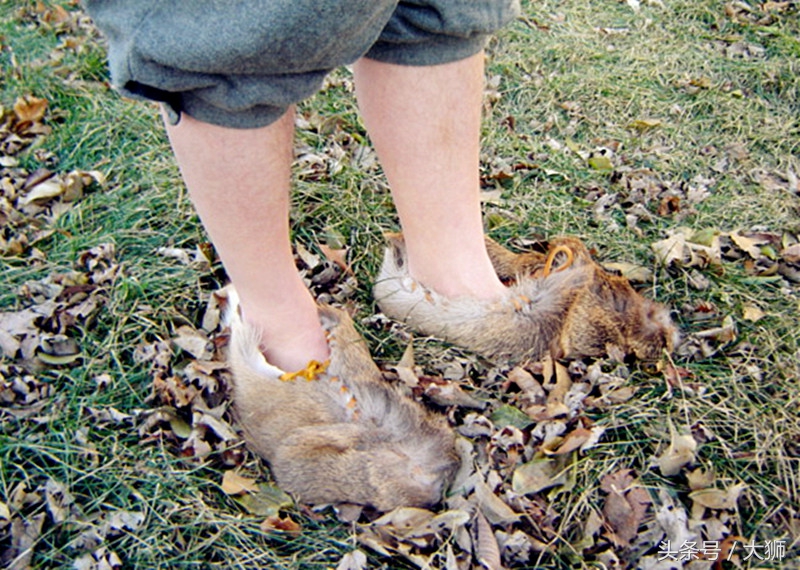 奇葩的古罗马,古罗马的战靴