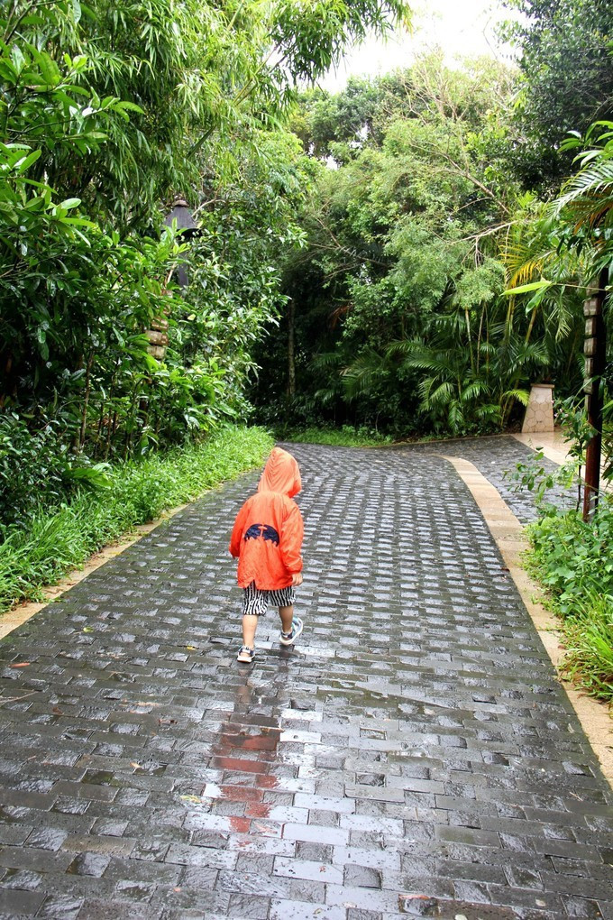 一个人带娃三亚四天亲子游攻略,带孩子三亚旅游全攻略