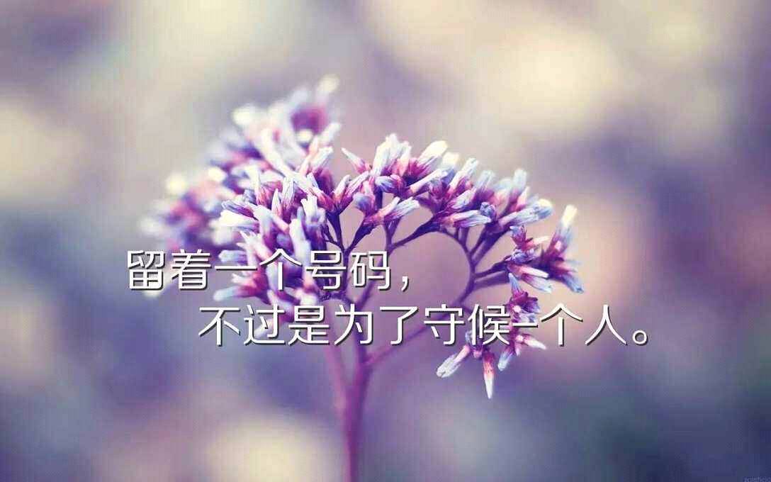 老娘就是她老婆，你说的那个女人是谁？