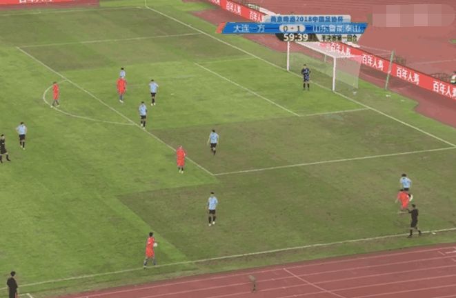 国内足球草坪,中国足球场地草坪