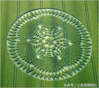 麦田怪圈的真相真是外星人所为吗,麦田怪圈是人类弄的吗