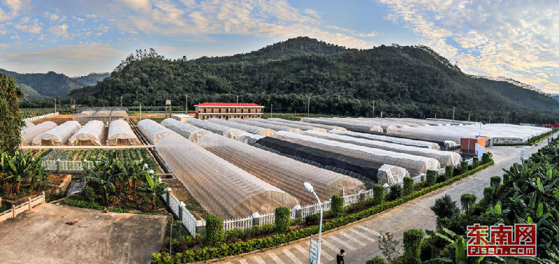 南靖龙山：以招商引资为抓手，全力发展休闲旅游产业