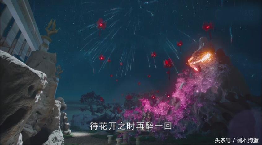 留梓池畔灵修，5朵凤凰花次第绽放，暗示了什么？