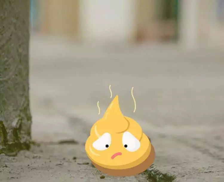 走狗屎运是真的要踩到狗屎吗,怎样才能有狗屎运