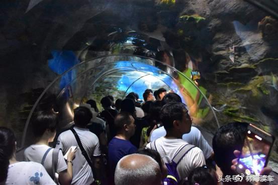 大连,我租辆B级车游山,1.5T、248元值不?