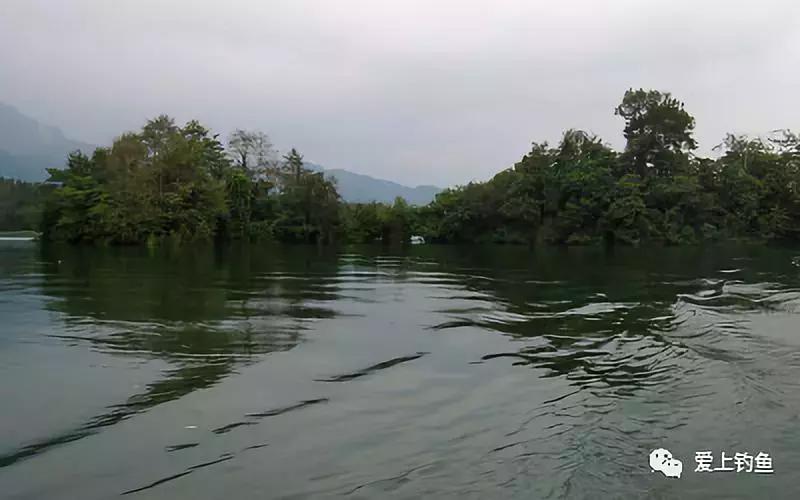 能钓鱼的避暑胜地有哪些,既能钓鱼又能野营的地方